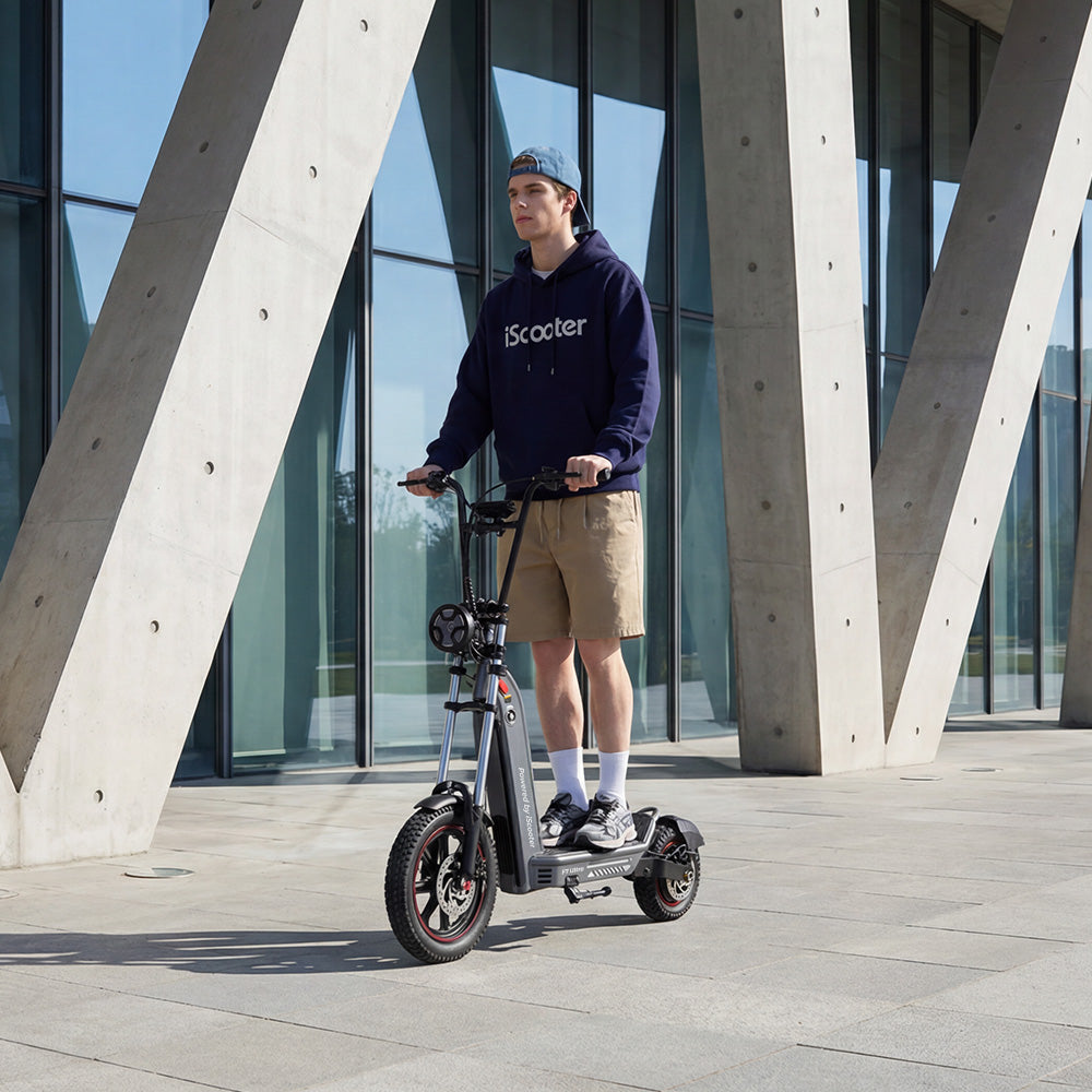 Cargo Electric Scooter