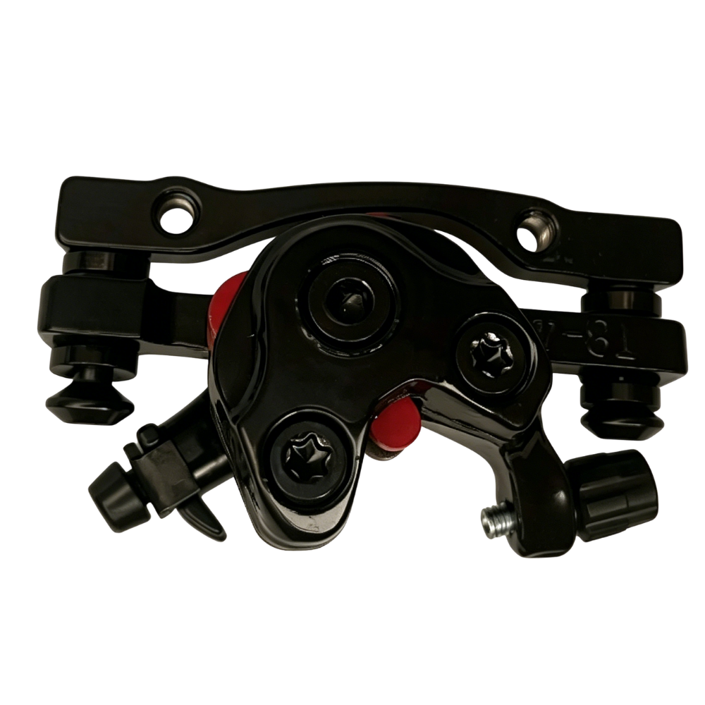 Rear disc brake + mounting screws for iF1